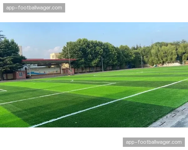 多家俱乐部计划夏季改造草坪，新型草皮系统声称可将球员冲刺损耗降低5%